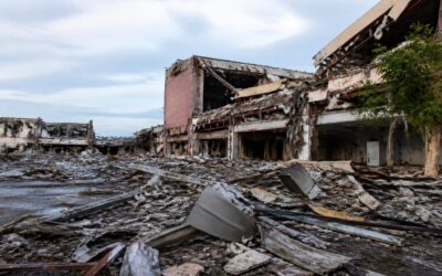 Cutremur de 7,1 în Japonia: Zeci de victime după prăbușirea unui centru comercial în Kumamoto