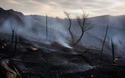 Pompierii români au oprit un incendiu care amenința locuințe și o mănăstire în Grecia