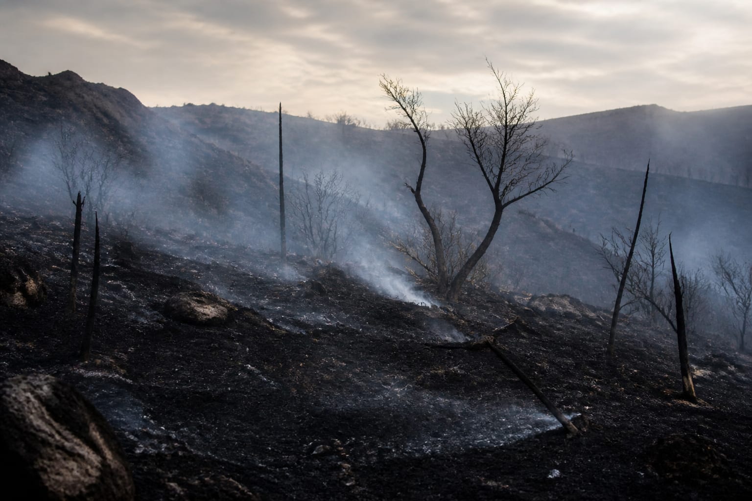 Pompierii români au oprit un incendiu care amenința locuințe și o mănăstire în Grecia
