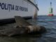 Două fragmente de drone cu exploziv neutralizate în 48 de ore pe rutele maritime din apropierea Sulinei