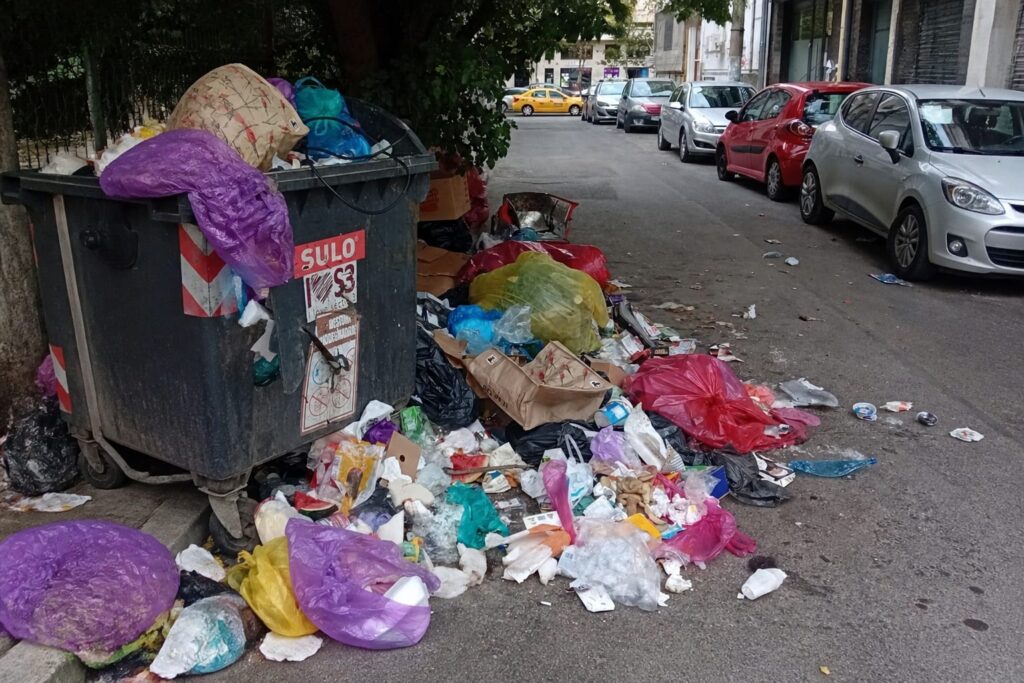 Șobolanii persistă pe terenul din zona Pieței Sf. Vineri după intervențiile de deratizare