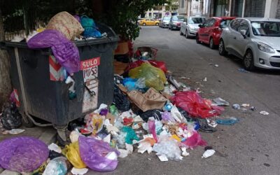 Șobolanii persistă pe terenul din zona Pieței Sf. Vineri după intervențiile de deratizare